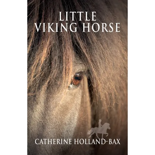 Little Viking Horse