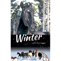 Winter with Horses
