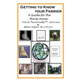 Getting to Know Your Farrier: A guide for the horse owner