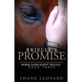 Brielle's Promise: Horse Gone Silent Trilogy Book 3