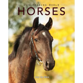 Horses: Amazing Pictures & Fun Facts on Animals in Nature