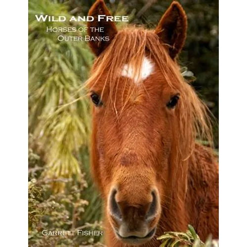 Wild and Free: Horses of the Outer Banks