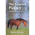 The Surprise Puppy and the Connemara Pony - Dyslexia Friendly