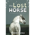 The Lost Horse - Dyslexia Friendly
