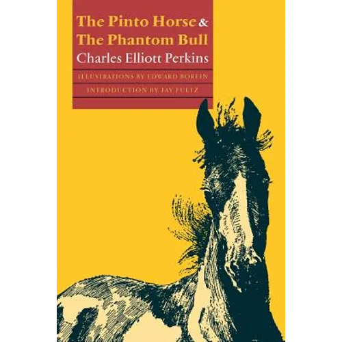 The Pinto Horse and the Phantom Bull