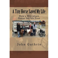 A Tiny Horse Saved My Life: How a Miniature Horse Set Me Free