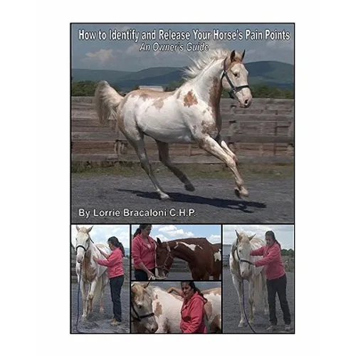 How to Identify and Release Your Horse's Pain Points: An Owner's Guide