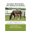 Flames Maestro: My Miracle Horse: The Story of a Purebred Arabian Colt