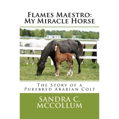 Flames Maestro: My Miracle Horse: The Story of a Purebred Arabian Colt