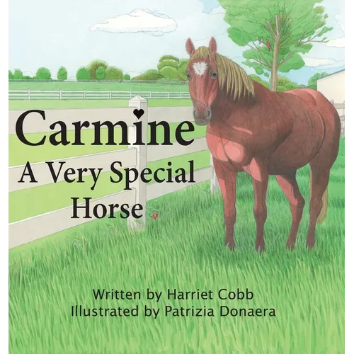 Carmine: A Very Special Horse