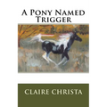 A Pony Named Trigger