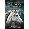The Galway Connemara The Autobiography of an Irish Connemara Pony - Dyslexia Friendly