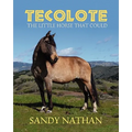 Tecolote: The Little Horse That Could
