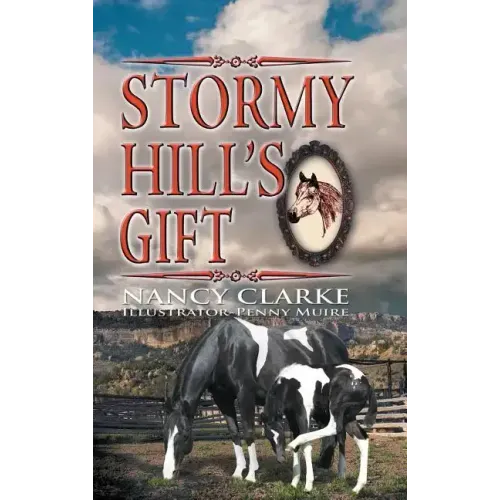Stormy Hill's Gift