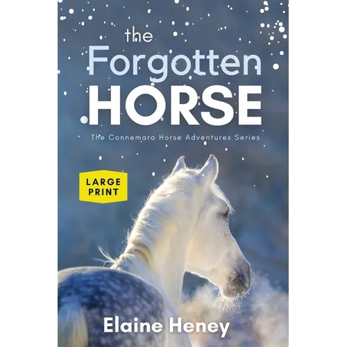 The Forgotten Horse - Book 1 in the Connemara Horse Adventure Series LARGE PRINT
