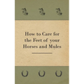How to Care for the Feet of your Horses and Mules