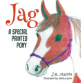 Jag: A Special Painted Pony