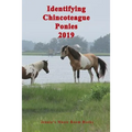 Identifying Chincoteague Ponies 2019