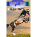 High Jinx (Jumping Into Danger #2)