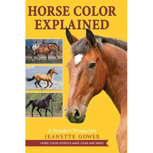 Horse Color Explained: A Breeder's Perspective