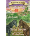 Windsor Heights Book 3: Moon and Midnight