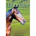 The Continued Adventures of Thunder: The Wonder Horse