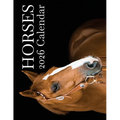 Horses 2026 Calendar