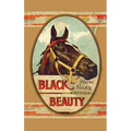 Black Beauty, Young Folks' Edition - Abridged with Original Illustrations