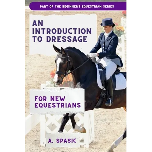 An Introduction to Dressage for New Equestrians