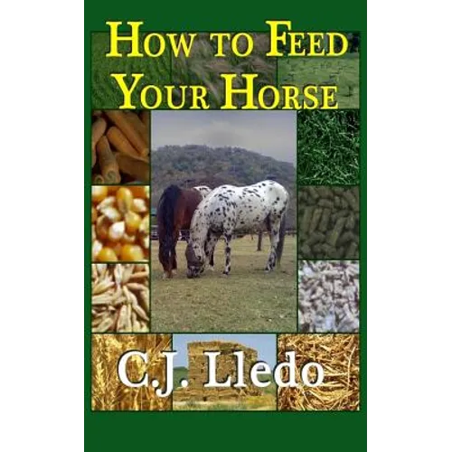 How To Feed Your Horse