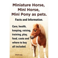 Miniature Horse, Mini Horse, Mini Pony as Pets. Facts and Information. Miniature Horses Care, Health, Keeping, Raising, Training, Play, Food, Costs an